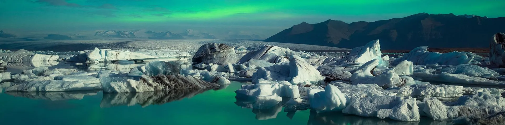 Northern Lights Hunt