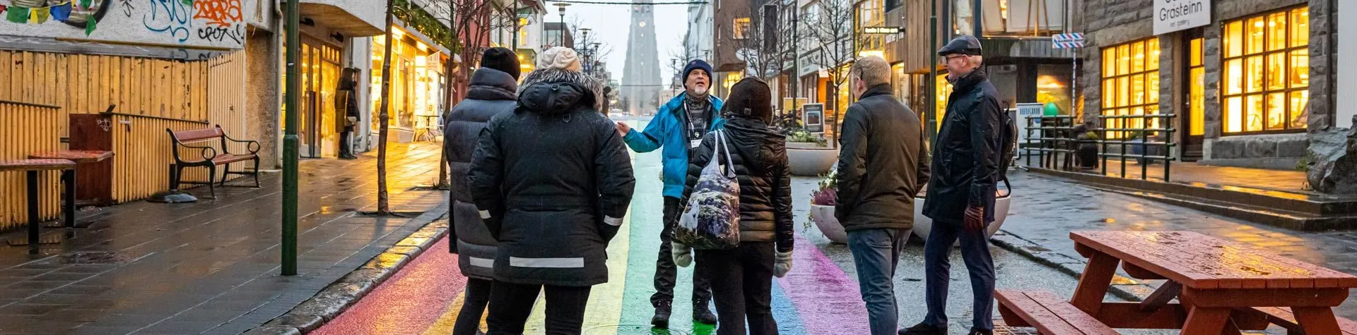 Walking Tour with a Viking (2 hours/ No pick-up) (5992)