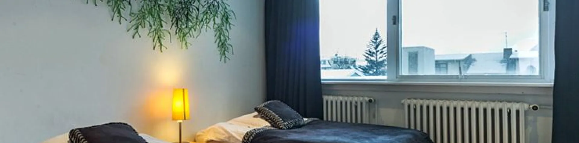Room With a View