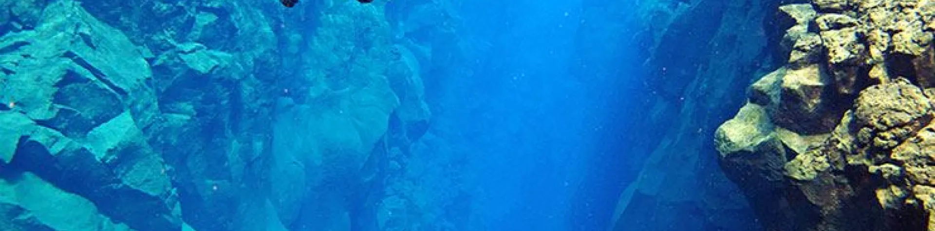 Snorkeling Silfra day tourpick-up 4 PM/4-5 hrs (N01)