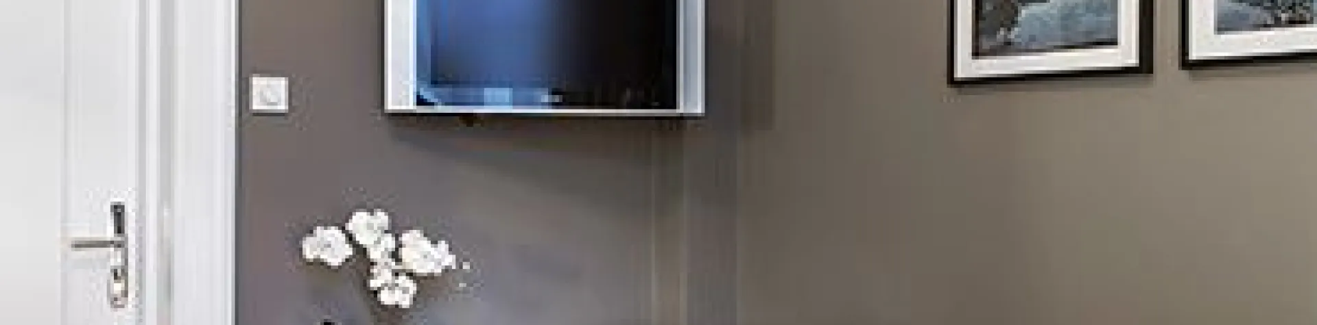 Hotel Borg