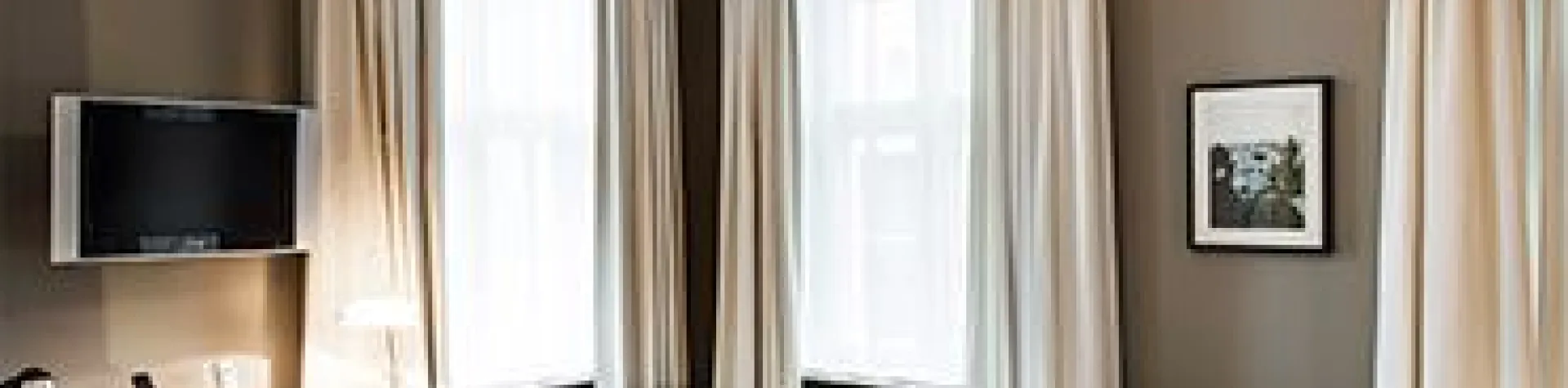 Hotel Borg