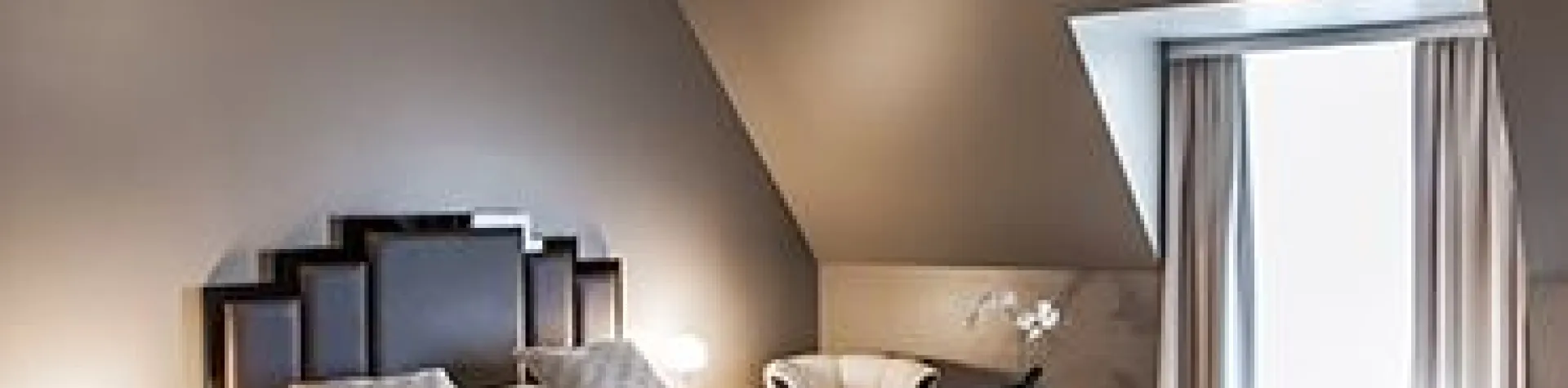 Hotel Borg