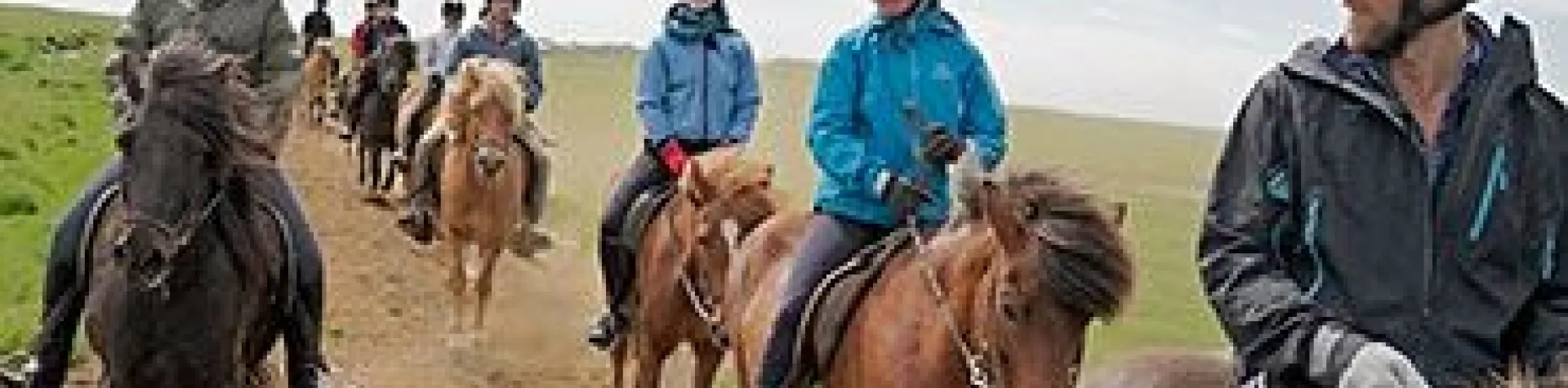 The Siggi tour (2 PM/1.5 hrs riding) (C13u)