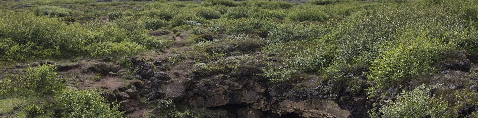 Guided Lava Tunnel Tour (07:45/2.5 hrs) (G09)
