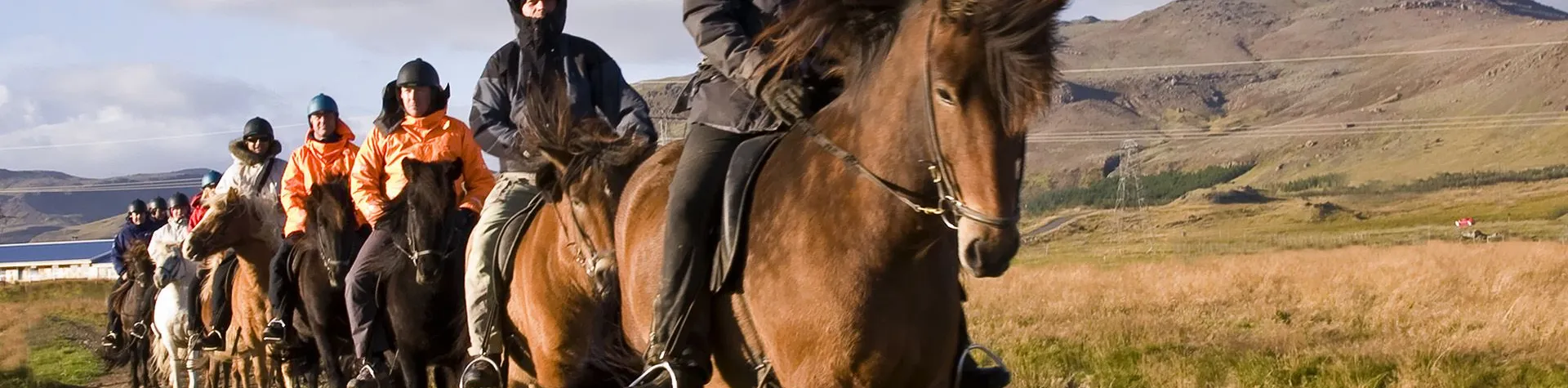 The Heritage Tour (8 AM/5 hrs/1.5 hrs riding) (C11)