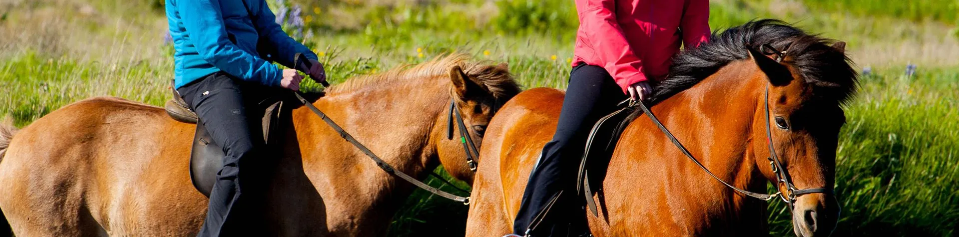 The Heritage Tour (8 AM/5 hrs/1.5 hrs riding) (C11)