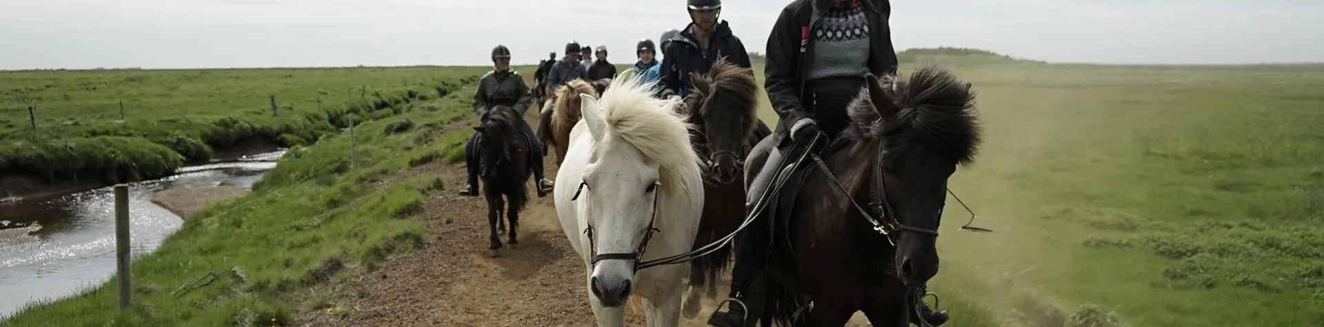 The Siggi tour (8 AM/5 hrs/1.5 hrs riding) (C13)