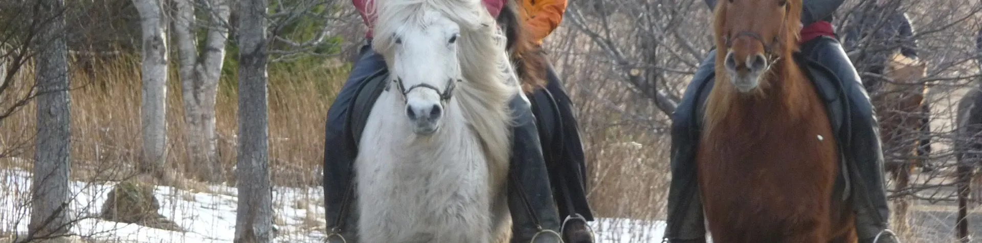 The Siggi tour (8 AM/5 hrs/1.5 hrs riding) (C13)