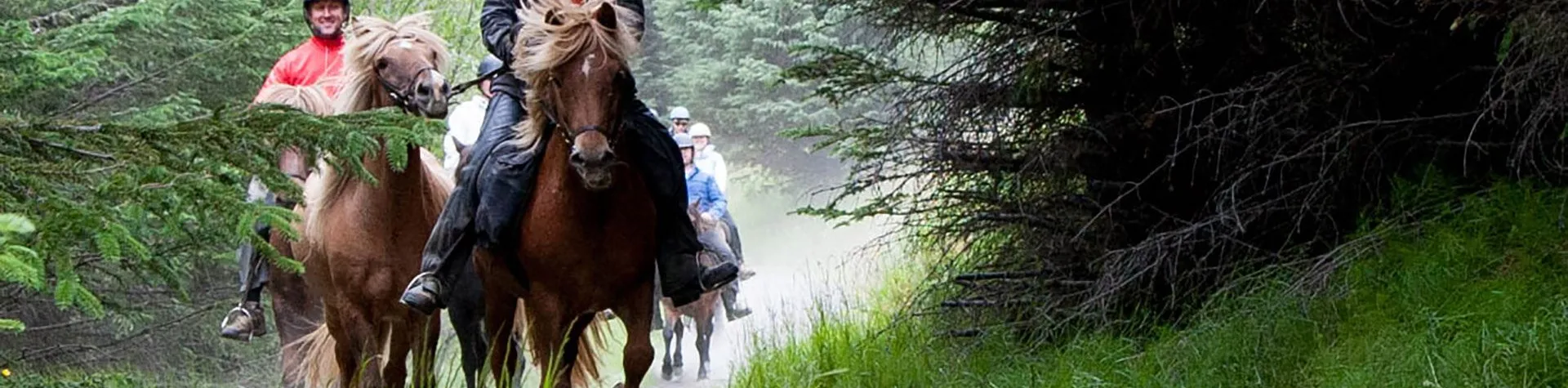 Horses & Hot Springs (8 AM/5 hrs/2,5 hrs riding) (C02)