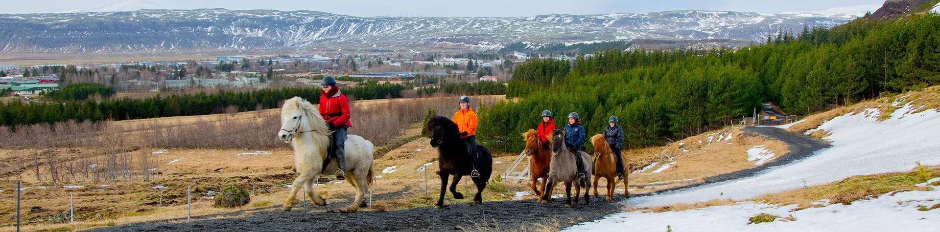 Horses & Hot Springs (8 AM/5 hrs/2,5 hrs riding) (C02)