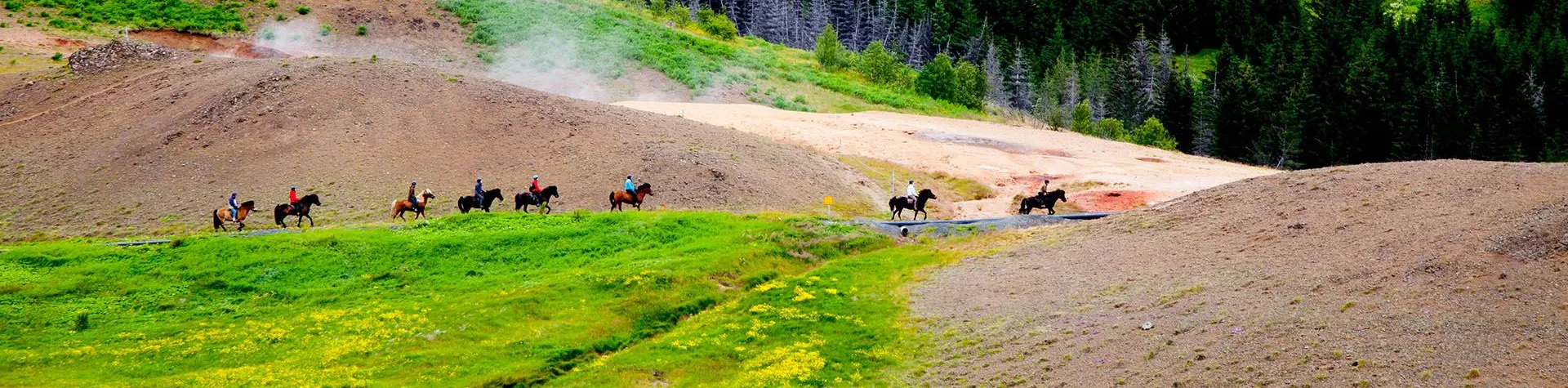Horses & Hot Springs (8 AM/5 hrs/2,5 hrs riding) (C02)