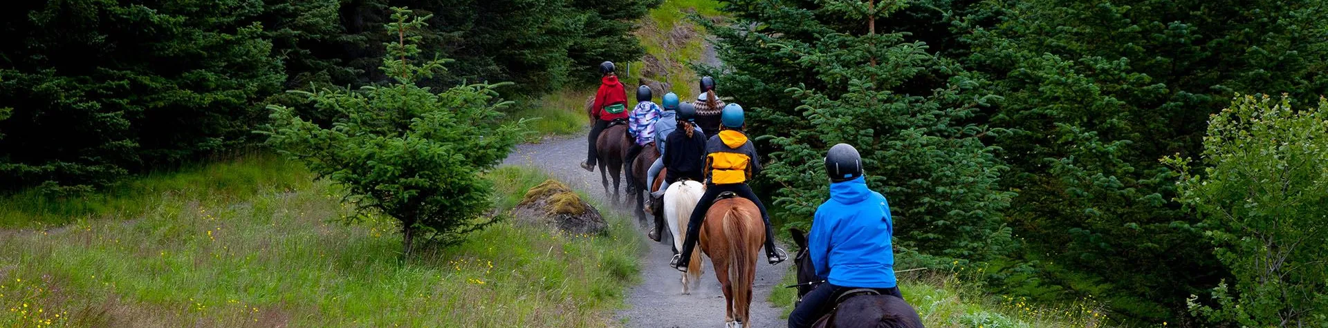 Riding & Relaxation (8 AM/9 hrs/2,5 hrs riding) (C07)