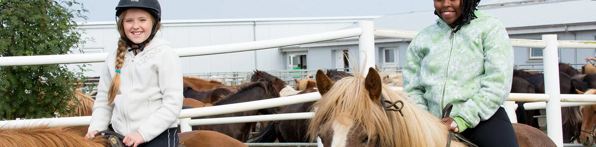 Horseback Riding & Whale Watching (8 AM/8 hrs/1.5 hrs riding) (C12)
