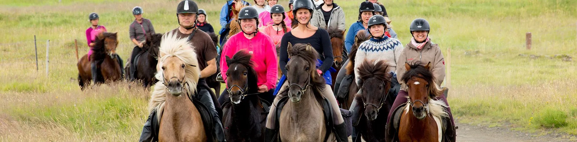 Riding & Gullfoss, Geysir and Thingvellir (8 AM/9 hrs/1.5 hrs riding) (C04)