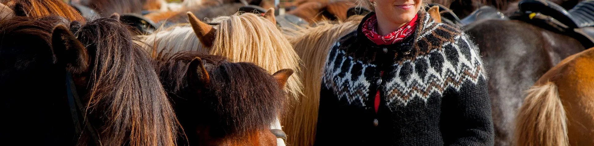 Riding & Gullfoss, Geysir and Thingvellir (8 AM/9 hrs/1.5 hrs riding) (C04)