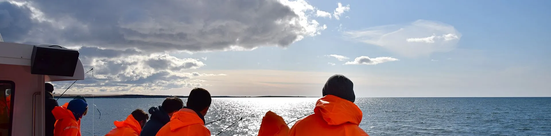 Sea Angling (Pick-up: 4 PM/3 hrs) (T06)
