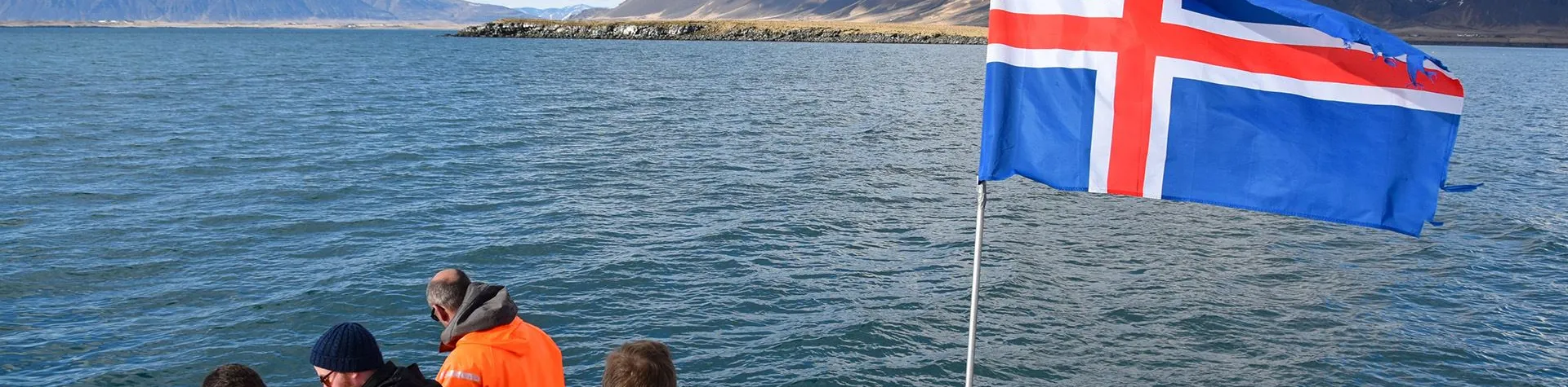 Sea Angling (Pick-up: 4 PM/3 hrs) (T06)