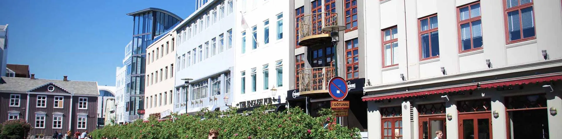 City Tour in Reykjavík (09:30/2.5 h/Swedish-speaking guide) (B03)