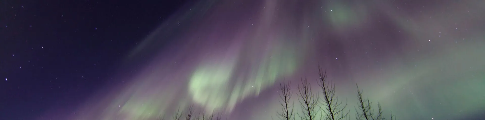 The Northern Lights Tour (8.30 PM/3 hrs) (A08)